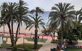 alquiler piso benidorm playa de poniente