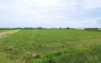 7 terrenos y fincas en venta movera