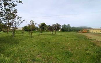 1 terrenos y fincas en venta tarazona