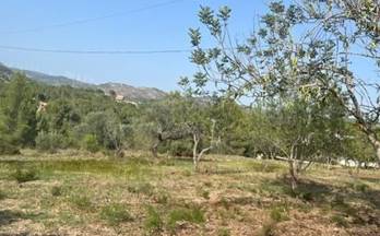 117 terrenos y fincas en venta santa barbara