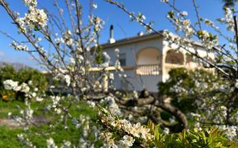 venta chalet pedreguer campo