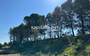 TERRENOS SOLARES en venta Alfafara Comunidad valenciana