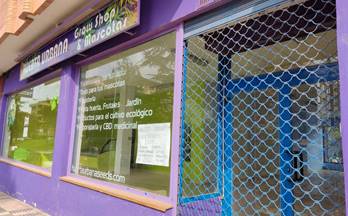 alquiler local soria . almazán