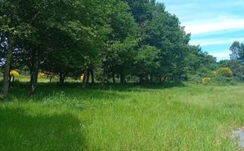 TERRENOS SOLARES en venta Resto Provincia Peroxa (A)