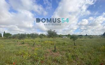 42 terrenos y fincas en venta porreres