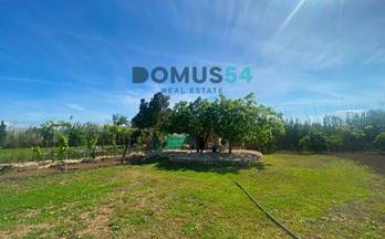 98 terrenos y fincas en venta inca