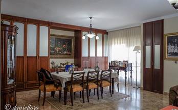 alquiler piso sevilla casco antiguo