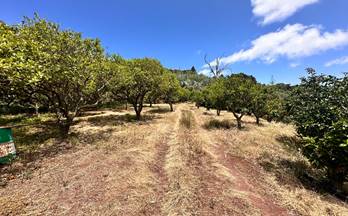 2 terrenos y fincas en venta moya