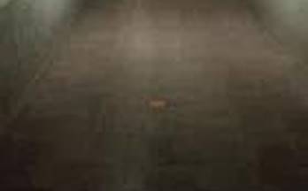 1 garajes en venta vicar