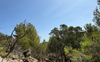 venta terrenos solares denia 