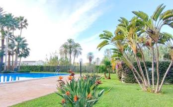 347 pisos en venta pedreguer