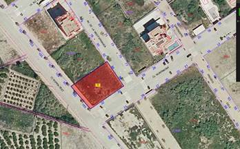 54 terrenos y fincas en venta daimus