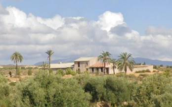 10 terrenos y fincas en venta alguazas