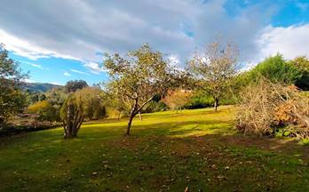 33 terrenos y fincas en venta cudillero