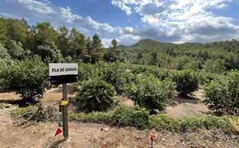 venta finca rustica tarragona vandellos