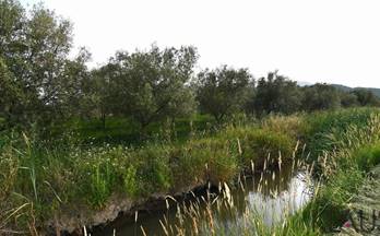 42 terrenos y fincas en venta la galera