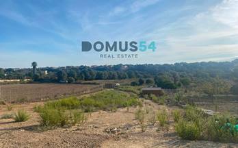 105 terrenos y fincas en venta maria de la salut