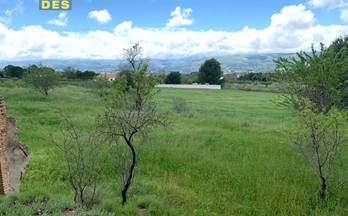 84 terrenos y fincas en venta atzeneta d´albaida