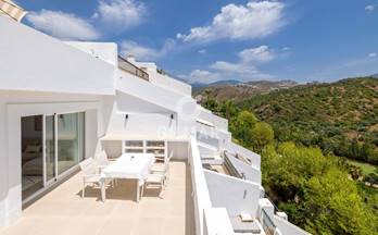 venta atico malaga benahavís