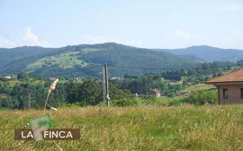 7 terrenos y fincas en venta colunga