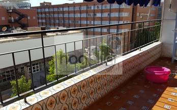 alquiler piso sevilla reina mercedes