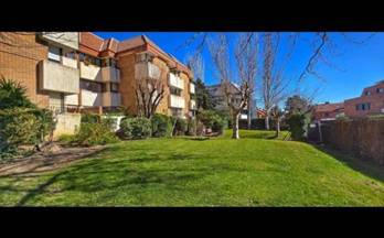 alquiler piso las rozas 