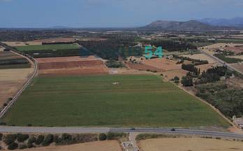 77 terrenos y fincas en venta ariany