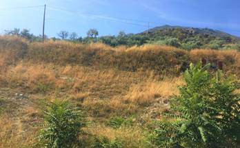 1 terrenos y fincas en venta huetor tajar