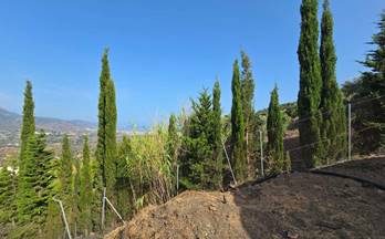 155 casas en venta torrox