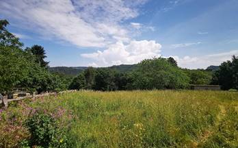 venta terrenos solares coiros queiris