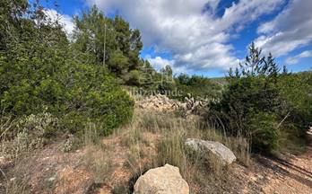 venta terrenos solares sant joan de labritja 