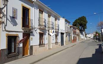 chalets con jardin en venta priego de cordoba