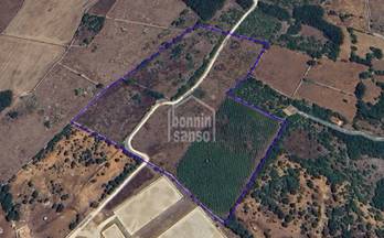 venta finca rustica mahon san clemente