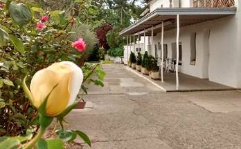 alquiler empresa lleida cataluña