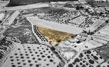 5 terrenos y fincas en venta la tercia