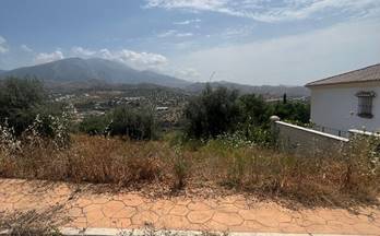 49 terrenos y fincas en venta viñuela