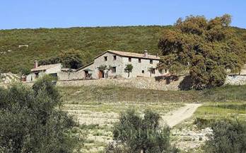 12 terrenos y fincas en venta enguera