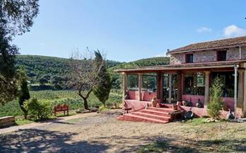 21 terrenos y fincas en venta enguera