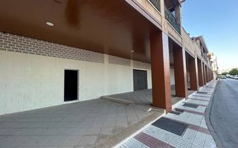 10 locales en venta pinos puente