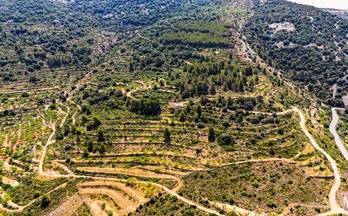 1 terrenos y fincas en venta cabanes, castellon