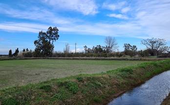 240 terrenos y fincas en venta tarragona provincia