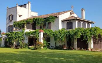 43 casas en venta corbera