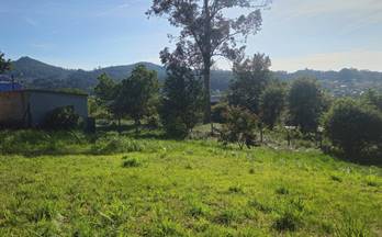 110 terrenos y fincas en venta pontevedra provincia