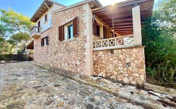 36 terrenos y fincas en venta campos