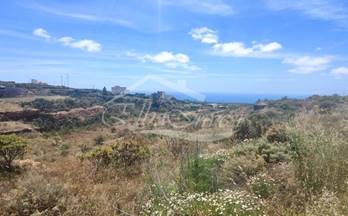 33 terrenos y fincas en venta san miguel de abona