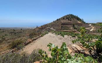 venta terrenos solares guia de isora tejina de isora