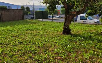 1 terrenos y fincas en venta ferrol