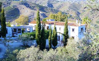 26 casas de campo en venta sedella