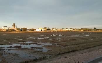 venta finca rustica sant jaume d´enveja arrozal