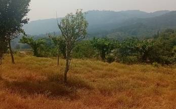 venta terrenos solares resto provincia porri?o (o)